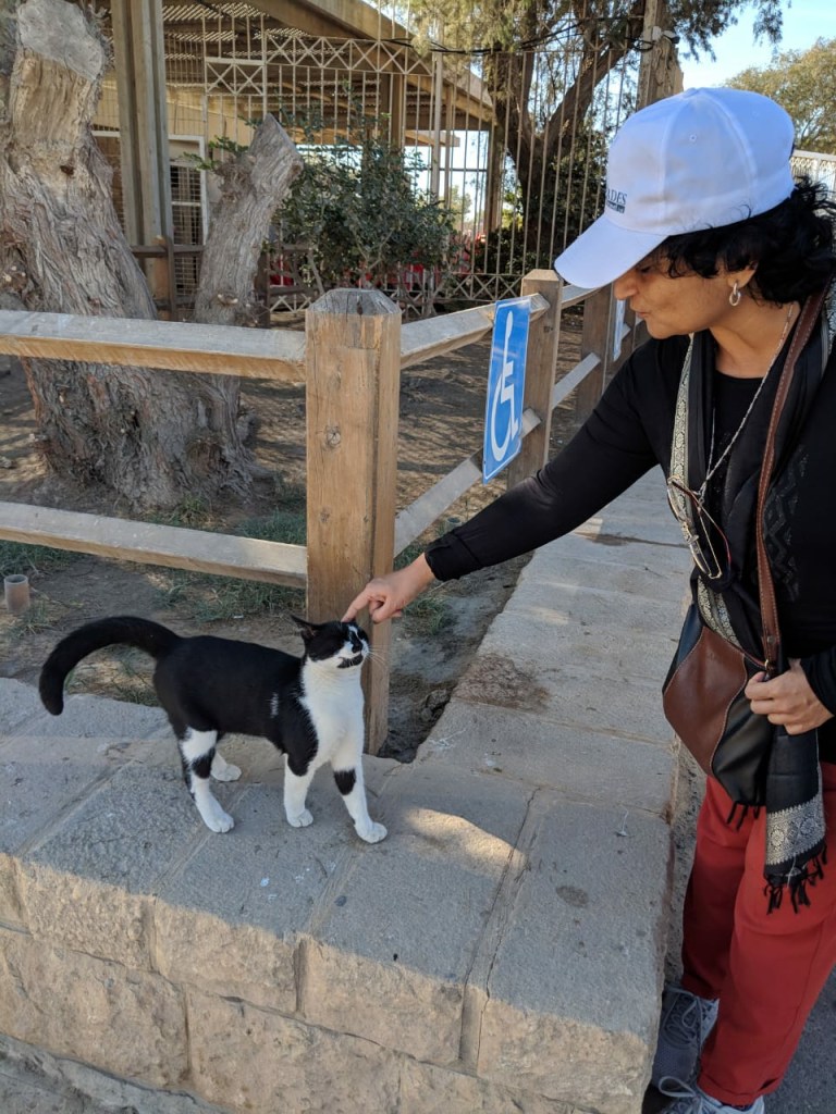 A person standing next to a dog

Description automatically generated